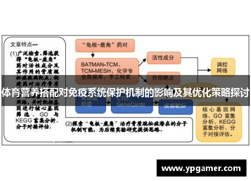 体育营养搭配对免疫系统保护机制的影响及其优化策略探讨